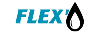 Logo_FLEX0